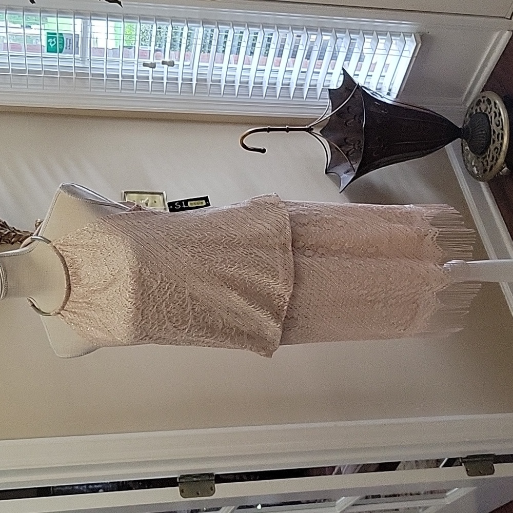 SLNY pink silver crocheted lace blouson dress Silver bar/chain neckline sz 8 New